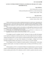 Accesul victimei și părții vătămate la materialele dosarului în cadrul urmăririi penale